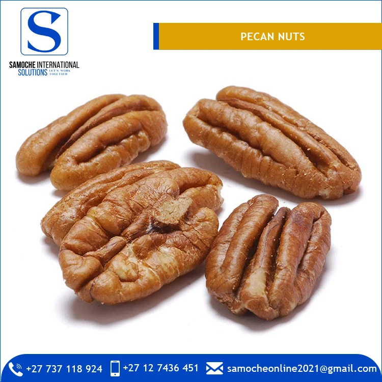 Wholesale Supplier Of Raw Pecan Nuts With Shell For Sale Buy Pecan