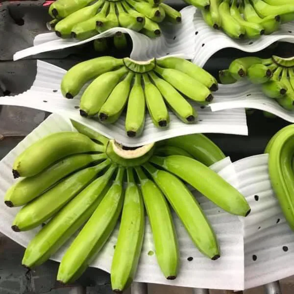 
New harvest 2020 fruit banana Ecuador good price export package in carton box all round year 
