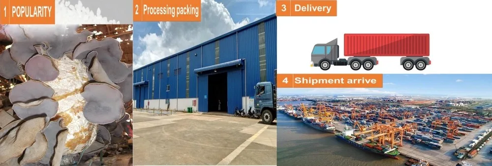 Optimized-delivery_fungus