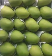 fresh mango packing 4.jpg