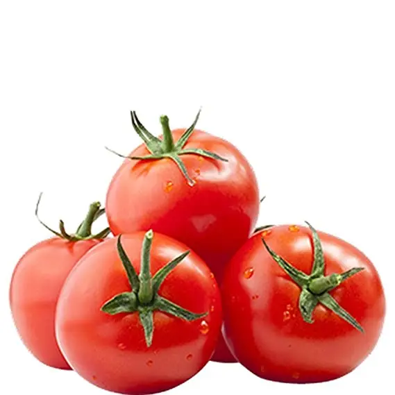 offer red fresh tomatoes