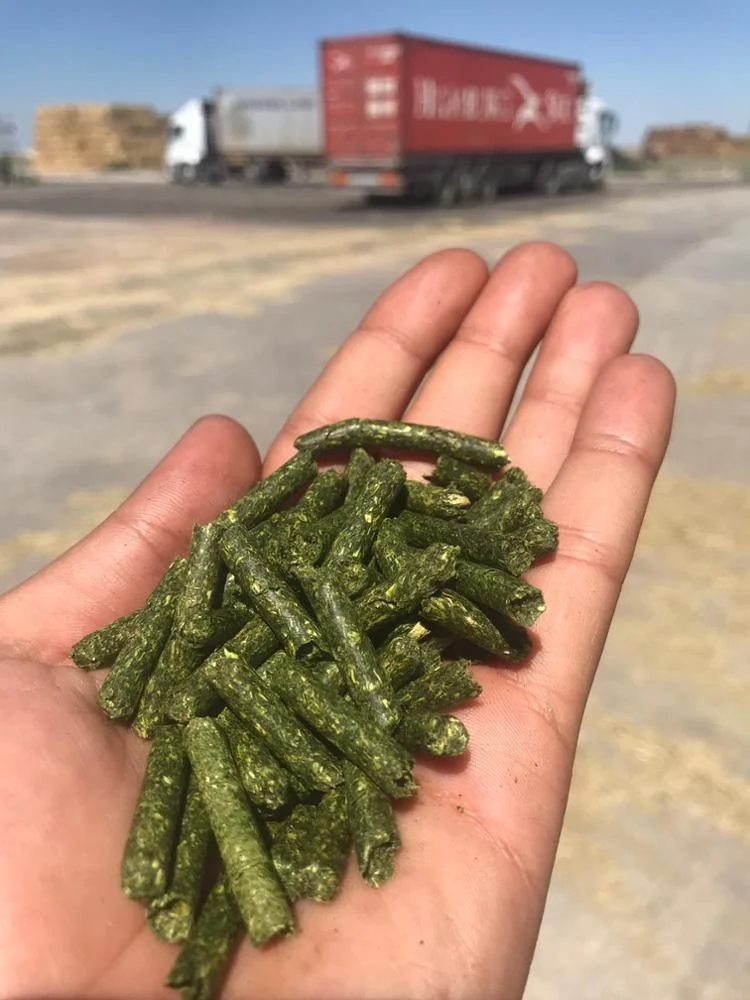 WhatsApp Image 2019-10-24 at 11.08.10.jpeg