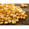 Big Grains Yellow White Corn/Maize for Animal Feed/Bulk Yellow-White Corn Suppliers