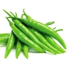 The fresh Green Chilli best seller in Viet Nam