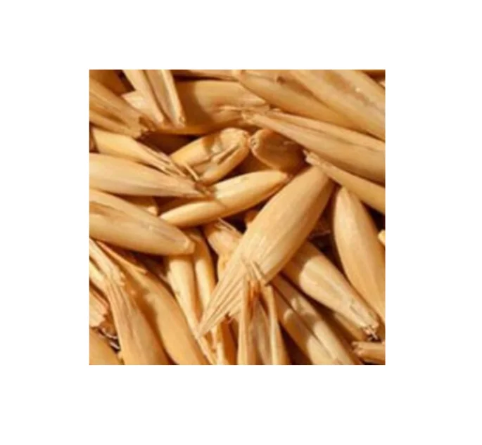 
Russian Food / Feed Oats Grains 