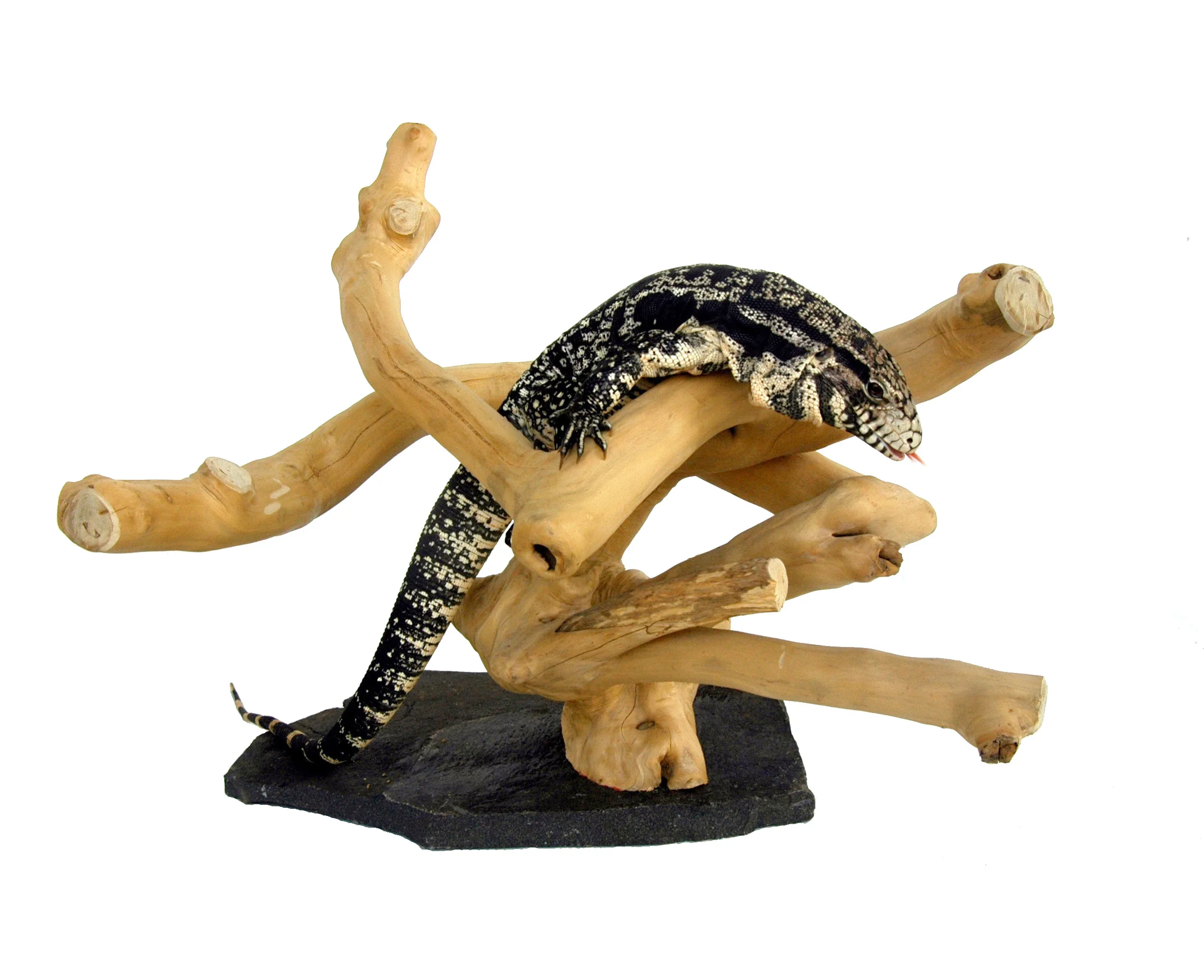 Java Wood Reptile Slate Base Terrarium Wooden Climbing Wood Branches For Basking Original From