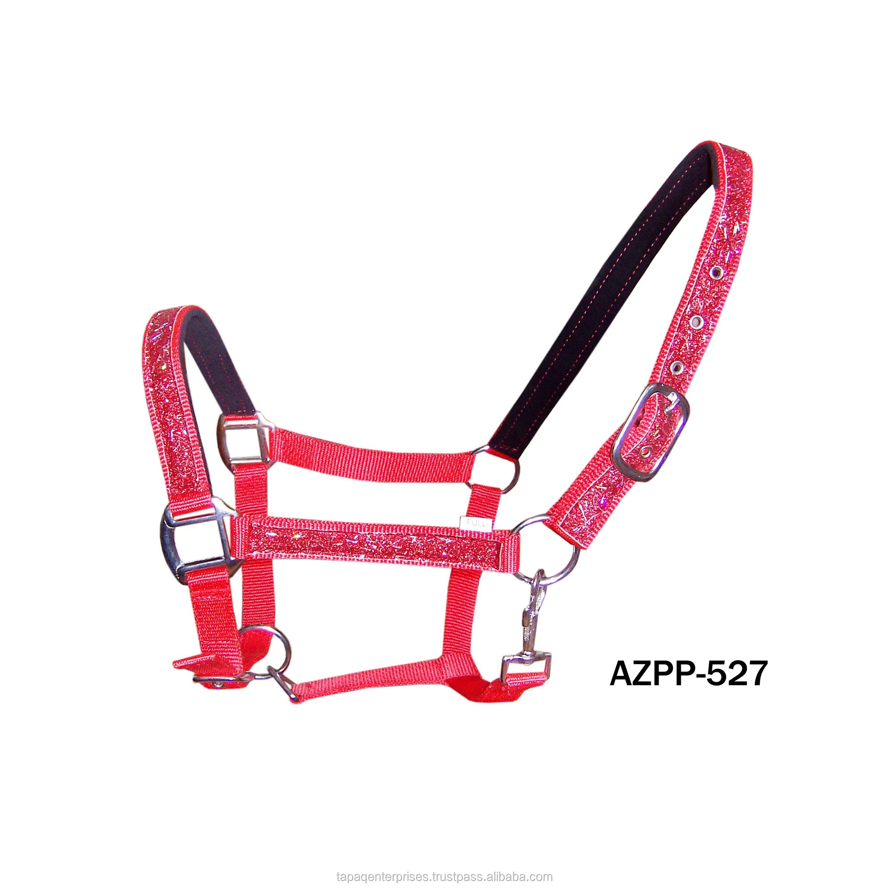 AZPP 527.jpg