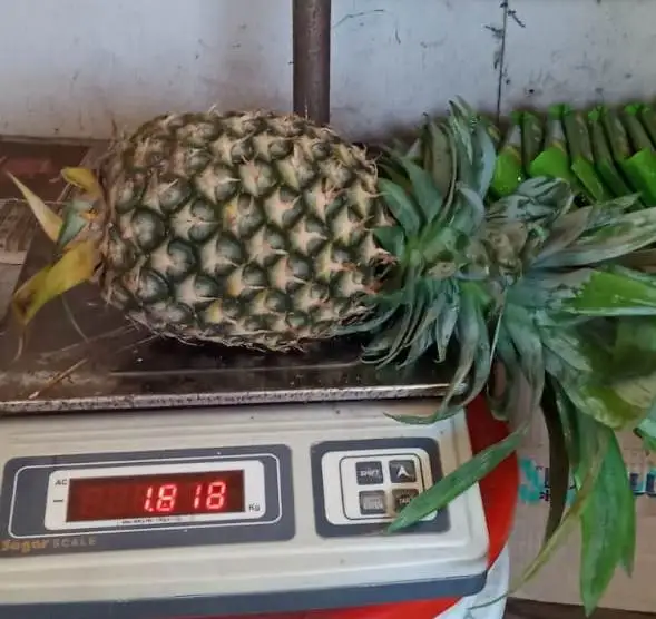 Wholesale Fresh Pineapple Price / Bulk Fresh Fruit Pineapple/queen