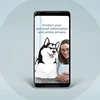 Mobile phone software security solutions | Best Mobile Data Security Software in 2019 | Protolabz eServices