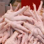 Processed Frozen Chicken Feet/Paws from USA exporters