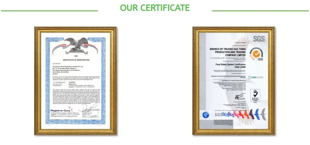 TDT certificate.jpg