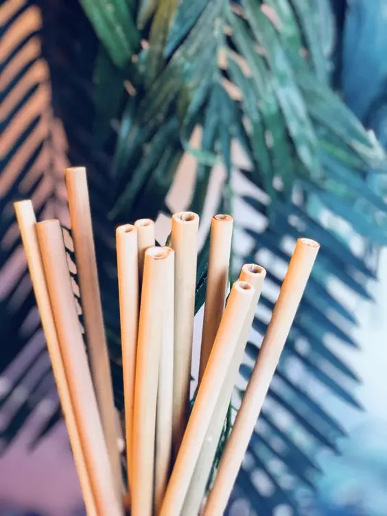 Eco Friendly And Biodegradable Bamboo Drinking Straws Katie
