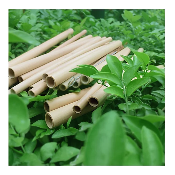Bamboo Drinking Straw With The Cheap Price Reusable And Ecofriendly