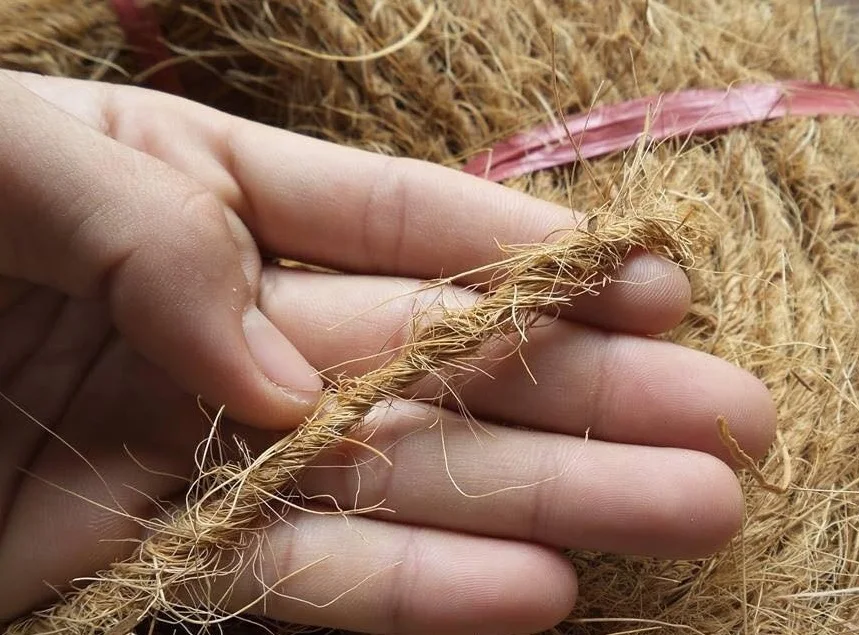 Natural Eco Friendly Coconut Coir Fiber Ropes For Mat Net Production