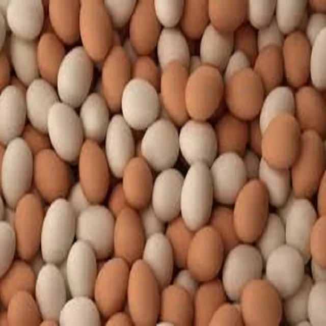 100% Brown/White Chicken Table Eggs