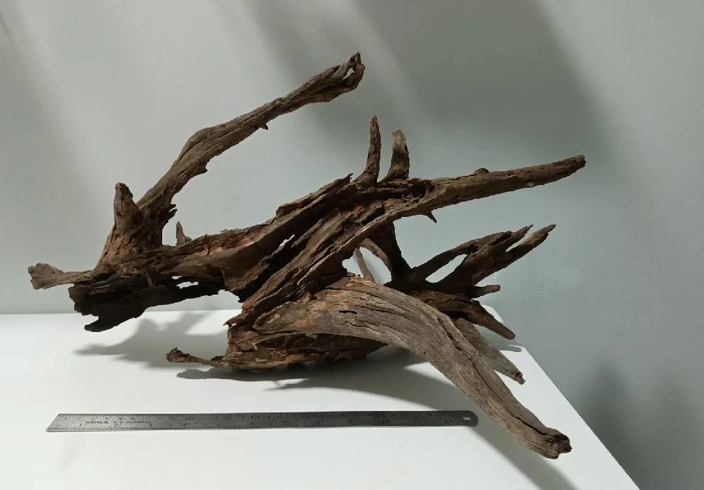 Natural Root Aquariums & Accessories Driftwood Buy Aquarium Tree