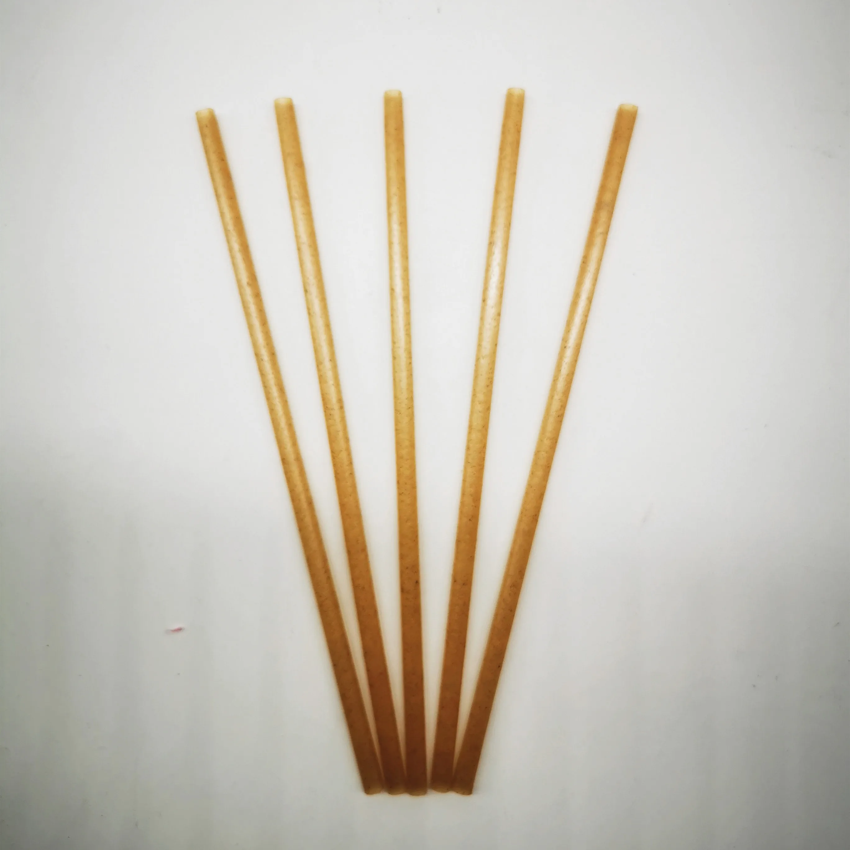 Hot Sale Pla Sugarcane Drinking Straws 100 Biodegradable Compostable