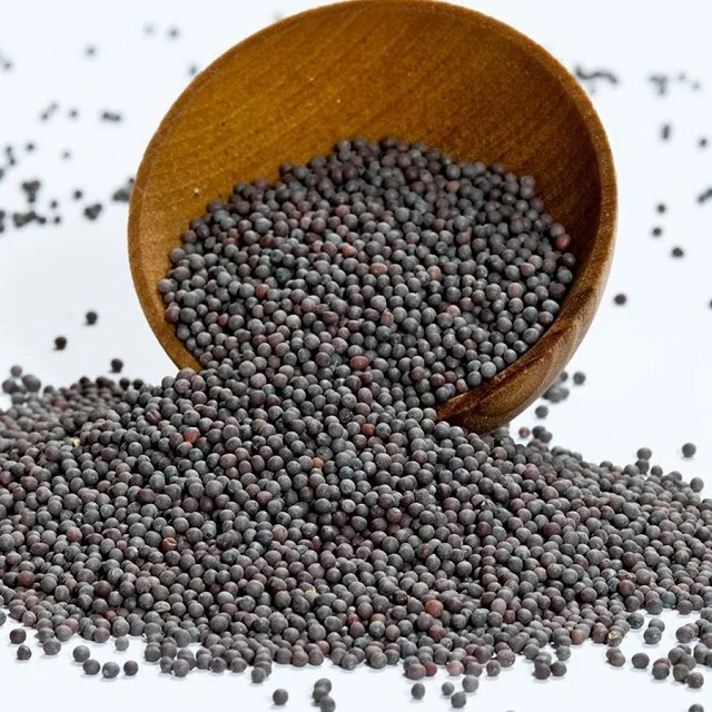 Non-GMO Canola Seeds,.,.jpg