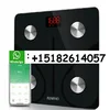 CuS_Blue;tooth__Ren-pho_Body_Fat_Scale_Smart;