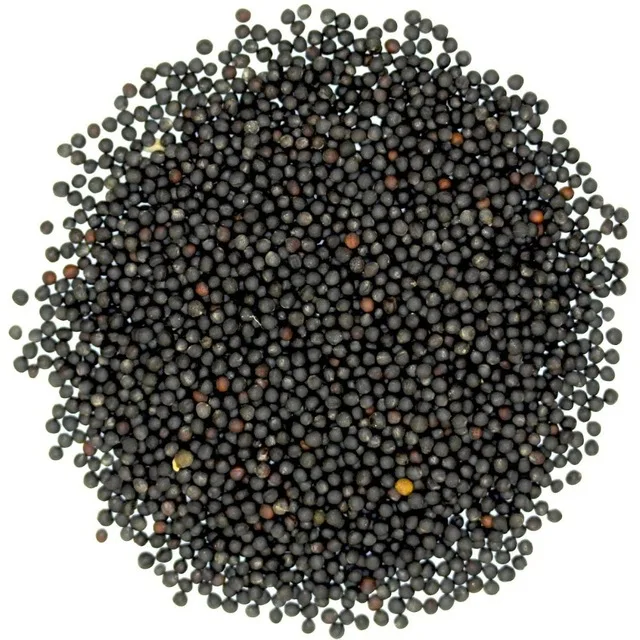 Rapeseed.jpg_640x640.jpg