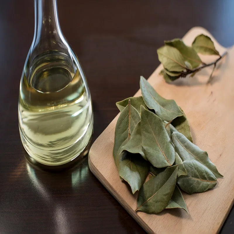 laurel leaf essential oil 100% pure and natural