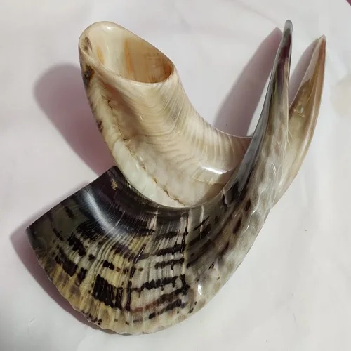 Oferta Venta Ram Cuerno Shofar 8to16 Pulgadas/kudu/pulido Shofar