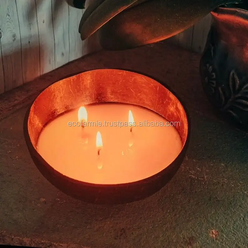 NATURAL WAX CANDLE IN SHELLS COCONUT SHELL CANDLES FROM VIETNAM, View