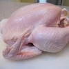 1 Grade Halal Frozen Whole Chicken and Parts / Gizzards / Breast/ Thighs / Feet / Paws / Drumsticks