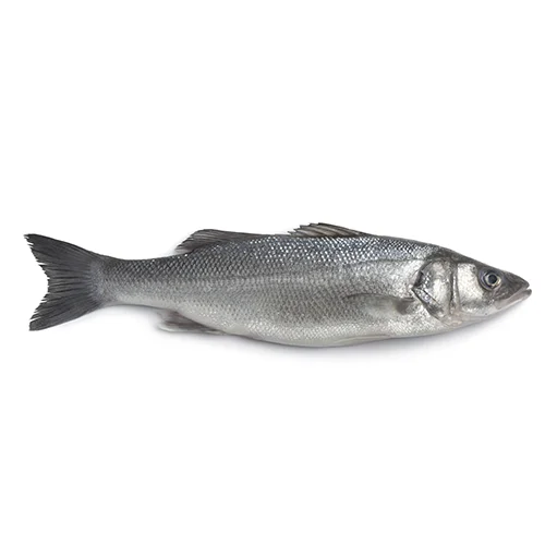 Frozen Sea Bass Sea Bass From Turkey Reasonable Prices Sea Bass Fish