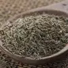 Whole Cumin Seeds