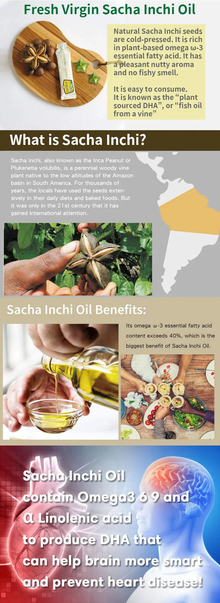 Sacha Inch Oil Banner new3