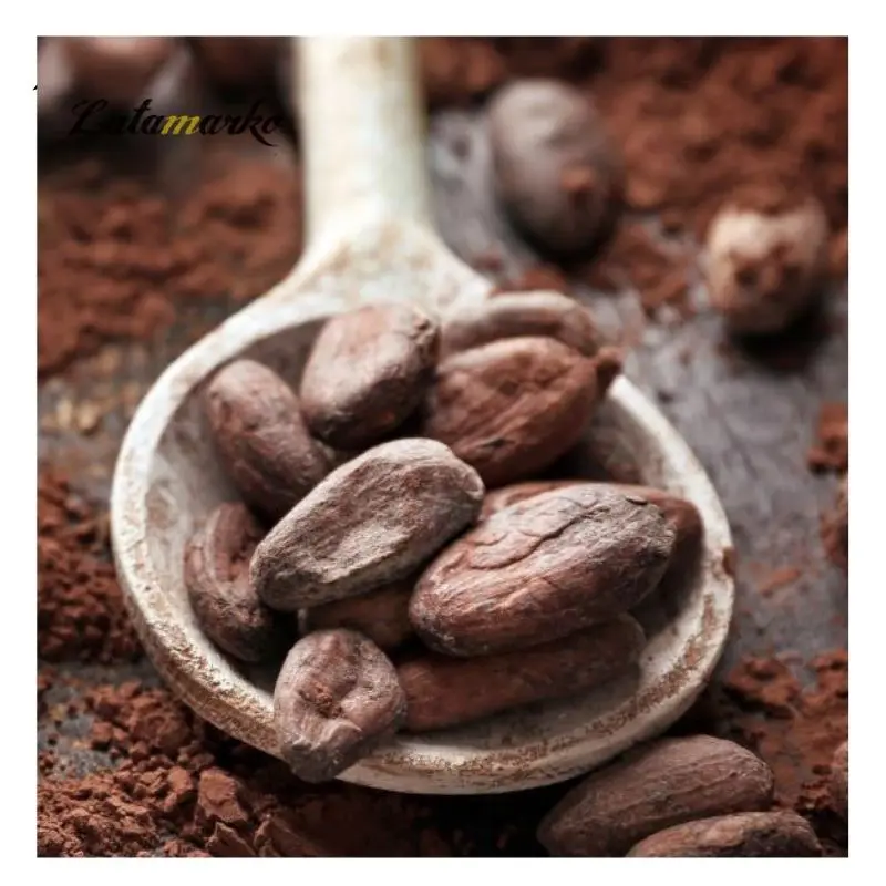Cocoa Bean Price Per Kg High Quality Raw Cocoa Bean Ghana Organic Cacao
