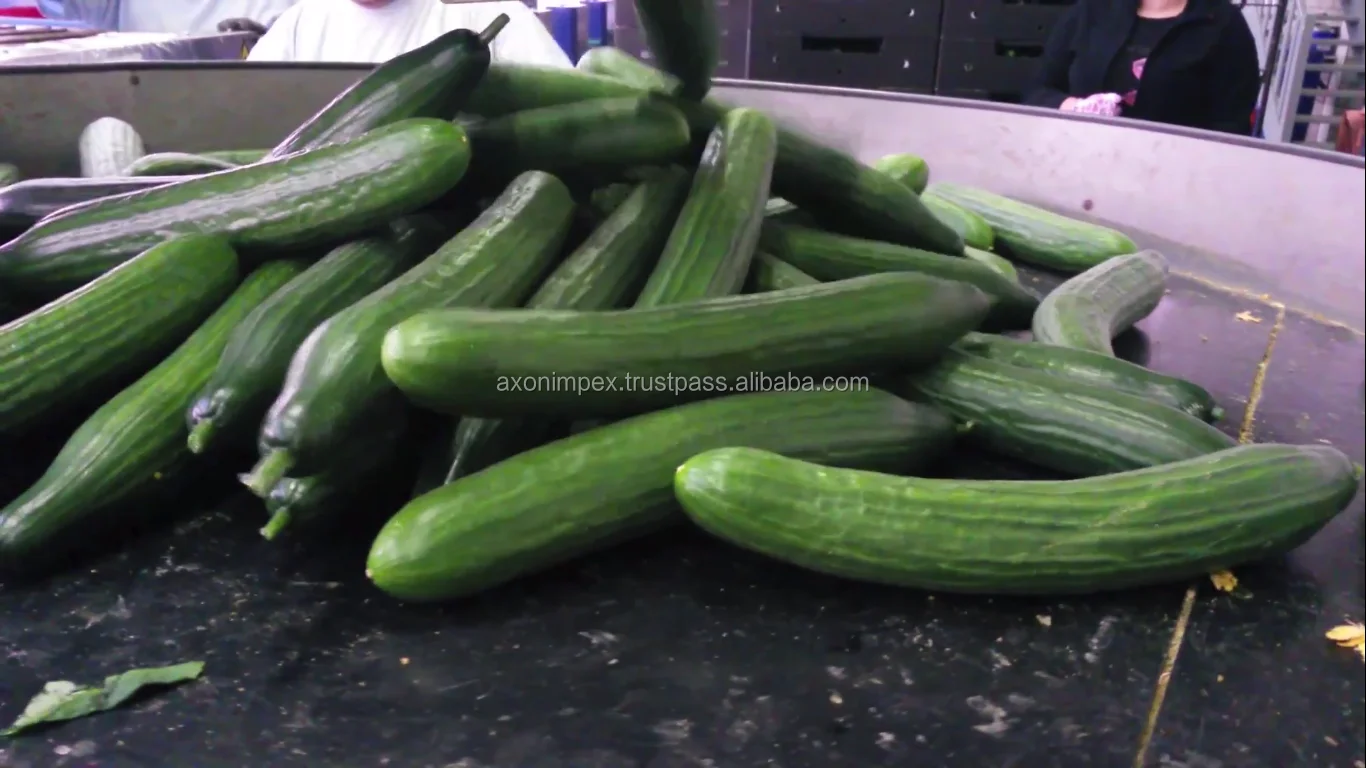 Screenshot (145).png