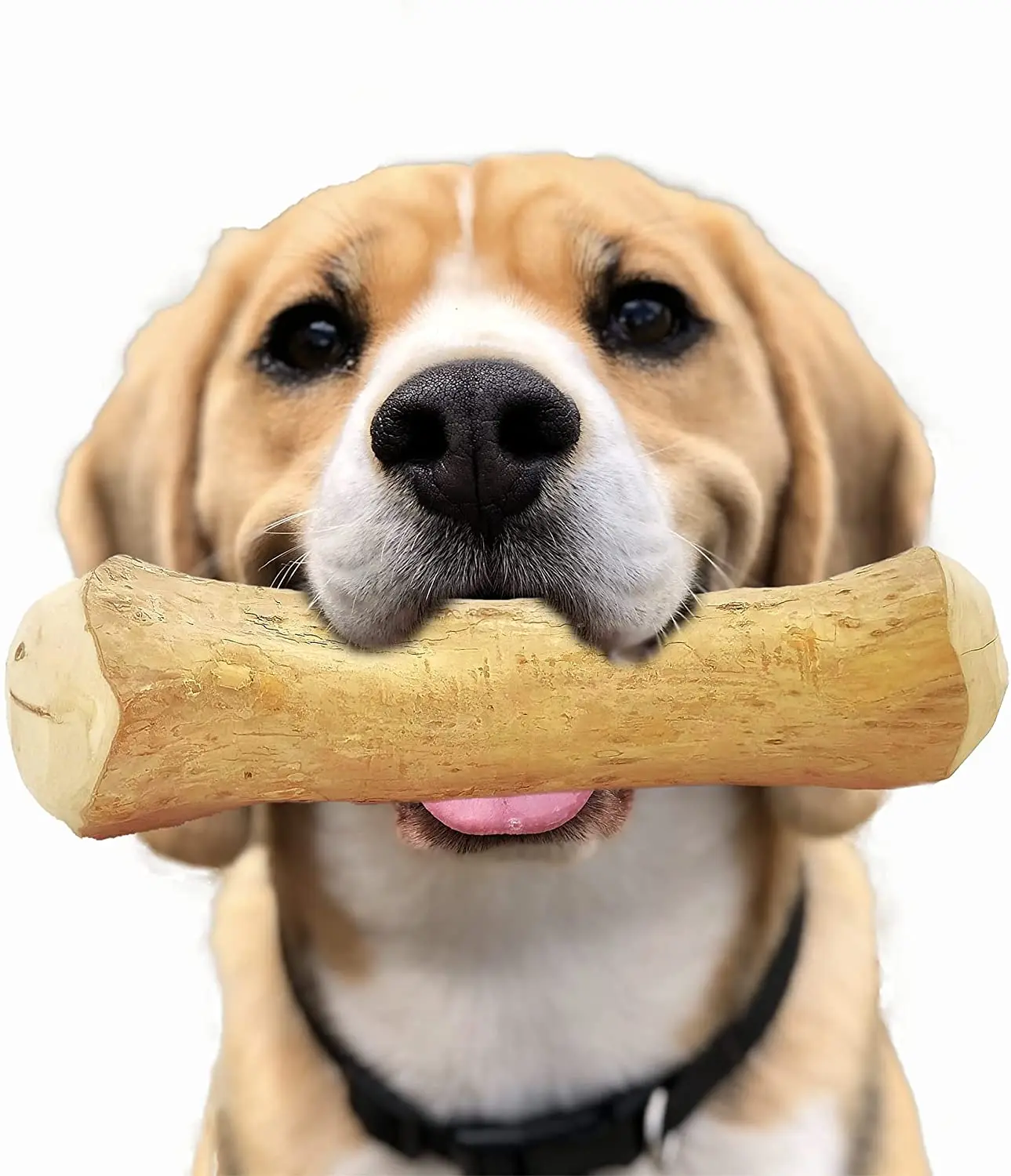 Competitive Price Natural And Safe Coffee Wood Dog (mr. Henry +84 799 996 940) Buy Best Price