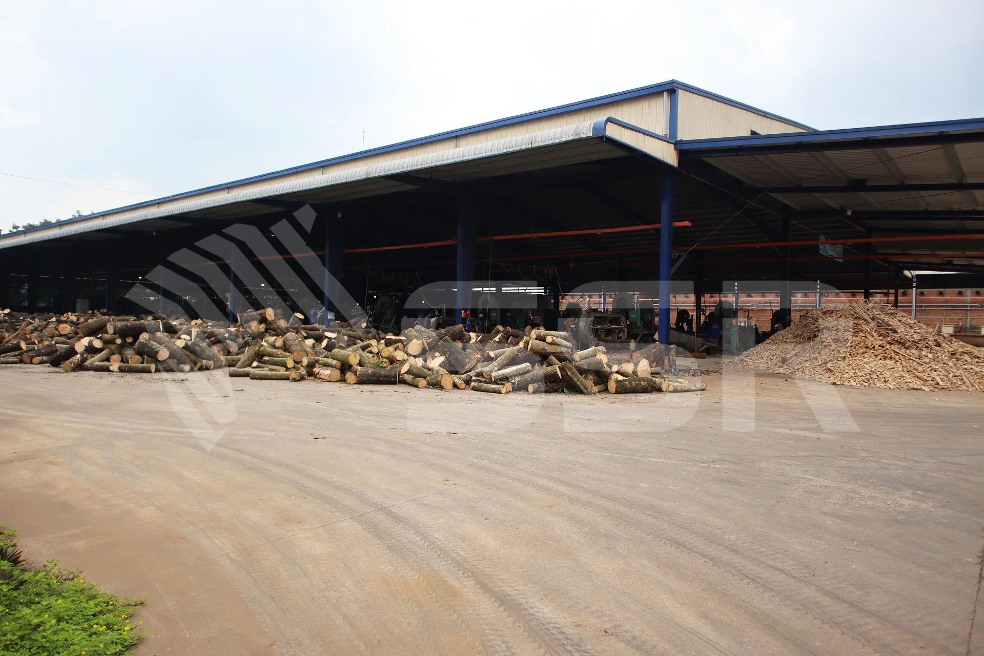 Wooden Pellets Manufacture From Vietnam / Best Price Wood Pellets En