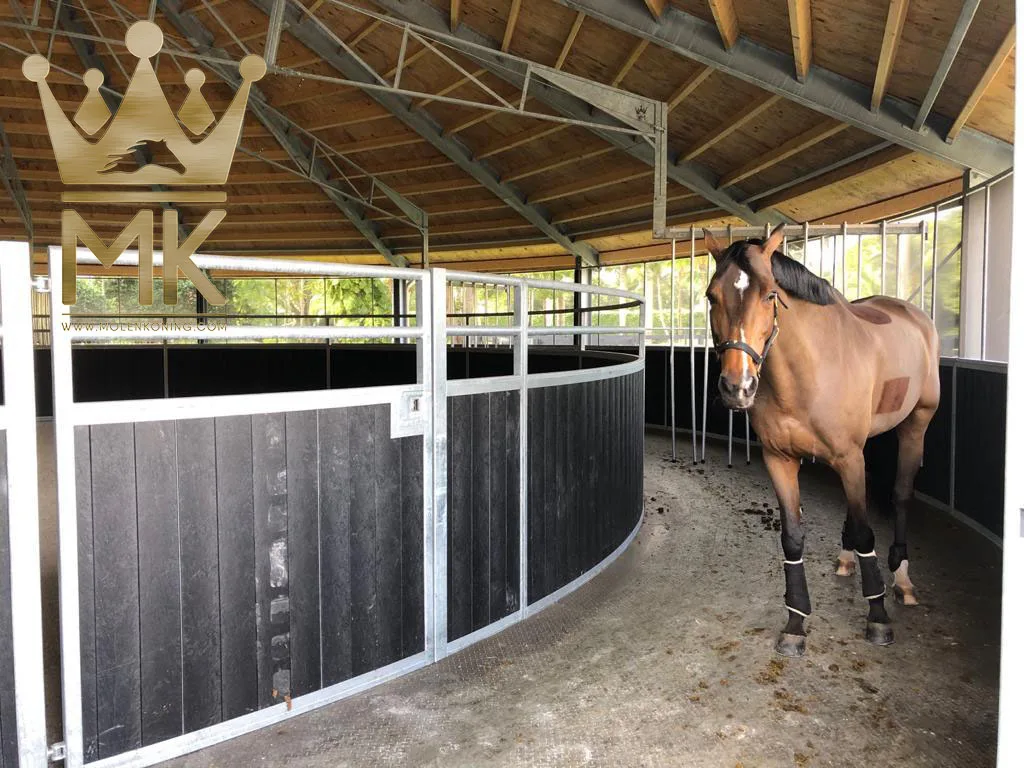 Molenkoning Skywalker,Ceiling Mounted Horse Walker Mk Buy Molenkoning