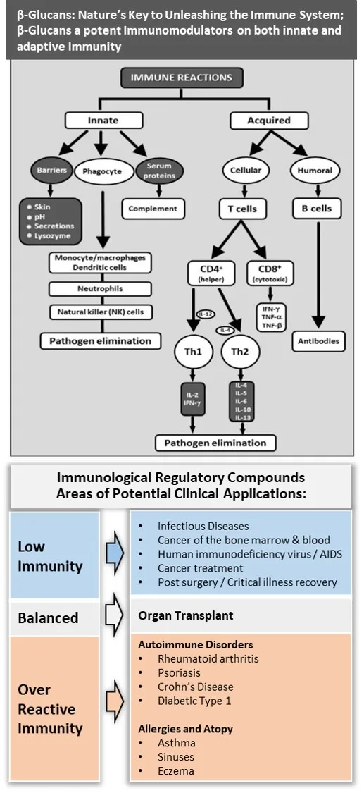 ImmunoEssence P2