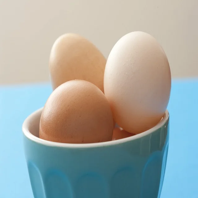 ostrich egg3.jpg