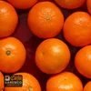 Fresh Mandarin Kinnow supplier From Pakistan at an Attractive price