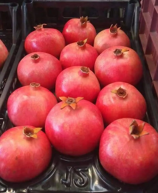 
Cheap Egyptian Pomegranate 