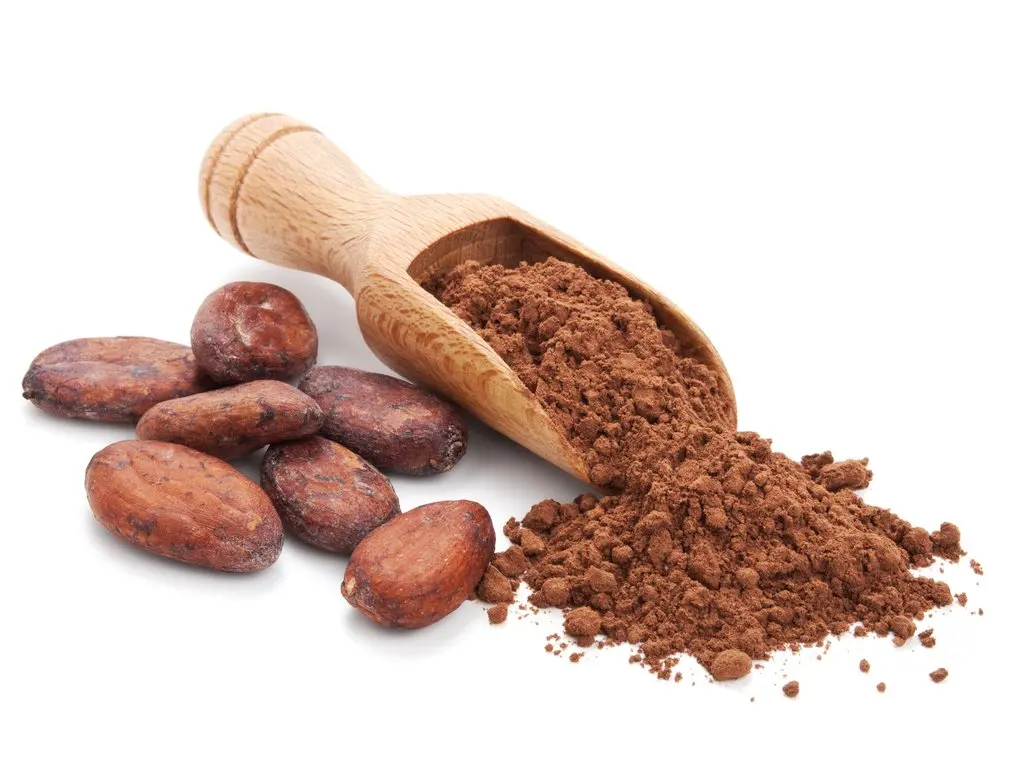 100% pure natural theobromine powder 10 % cocoa bean extract