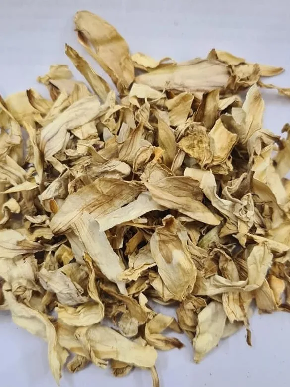 herbal leaf1.jpg
