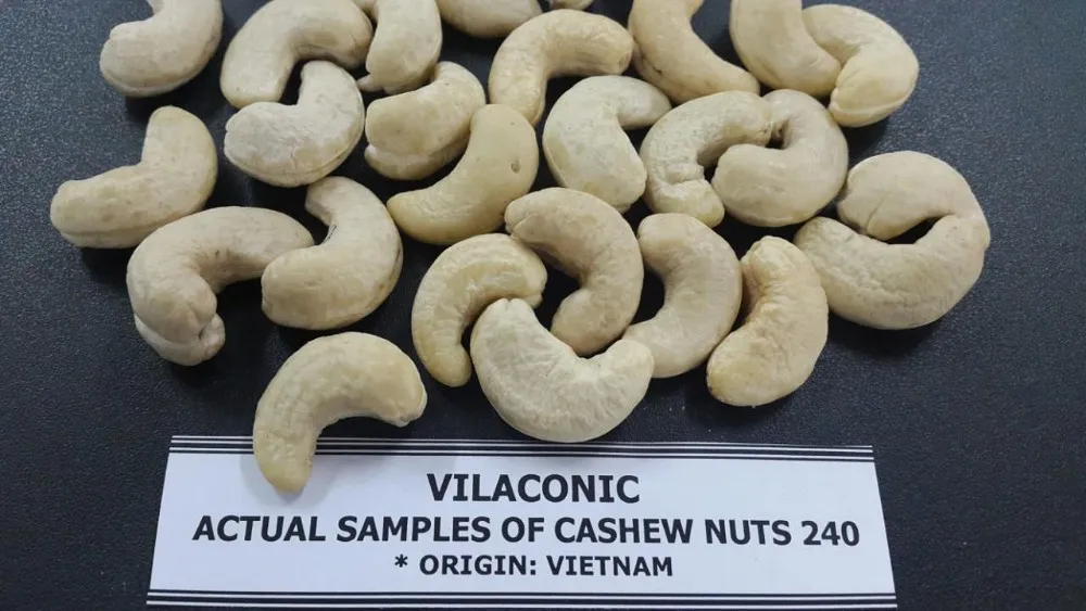 Vietnamese Cashew Nuts Whole Kernels Ww240/ W320/ W450 (w/a ...