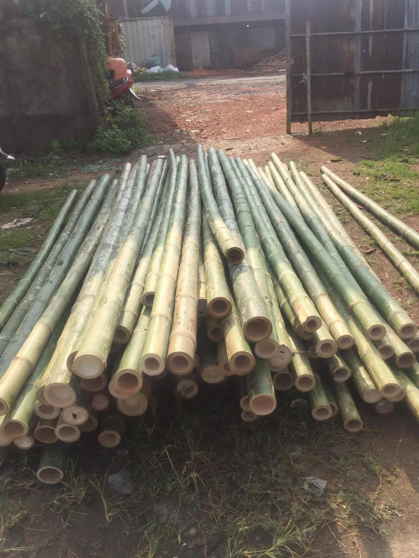 Agriculture Bamboo Sticks Bambou Poles For Nursery Planting/custom