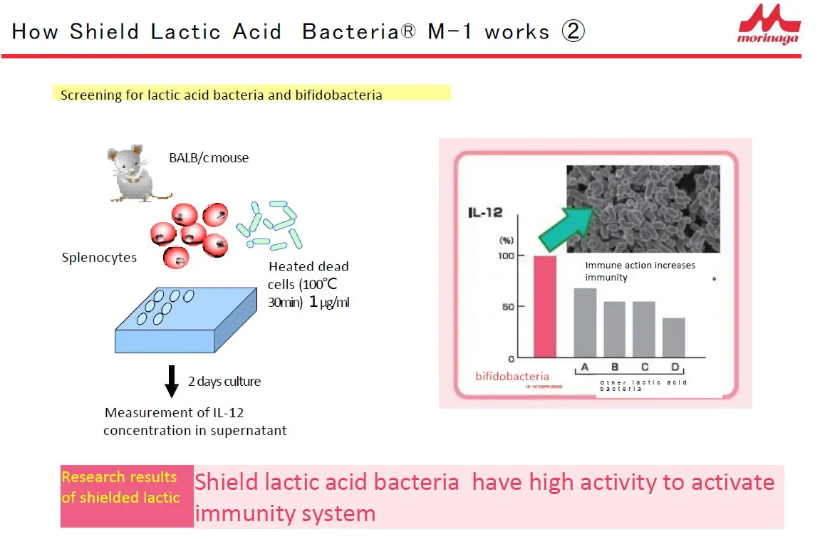 Japanese Heat Killed Lactic Acid Bacteria Powder For Health Foods For
