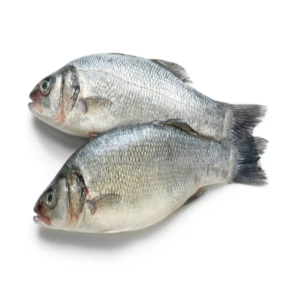 frozen fish wholesale food dried fish