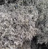 /product-detail/shredded-tyre-wires-metal-scraps-tyre-wire-scraps--62012922233.html