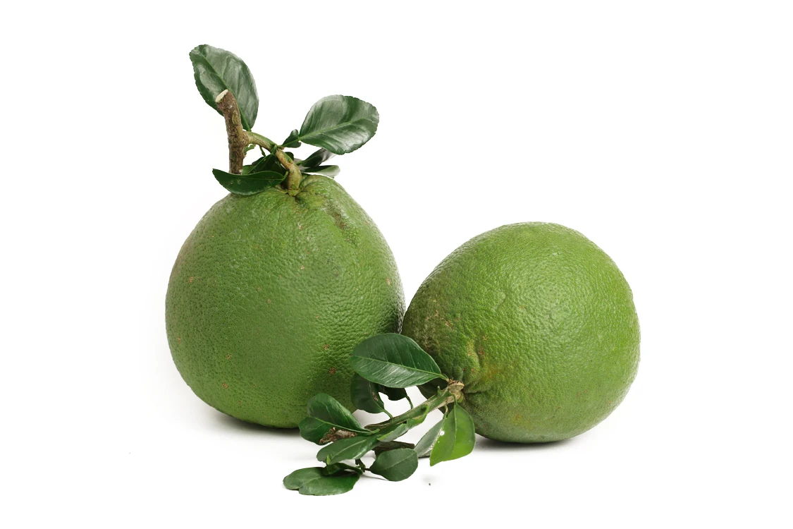 fresh pomelo or grapefruit high quality in viet nam