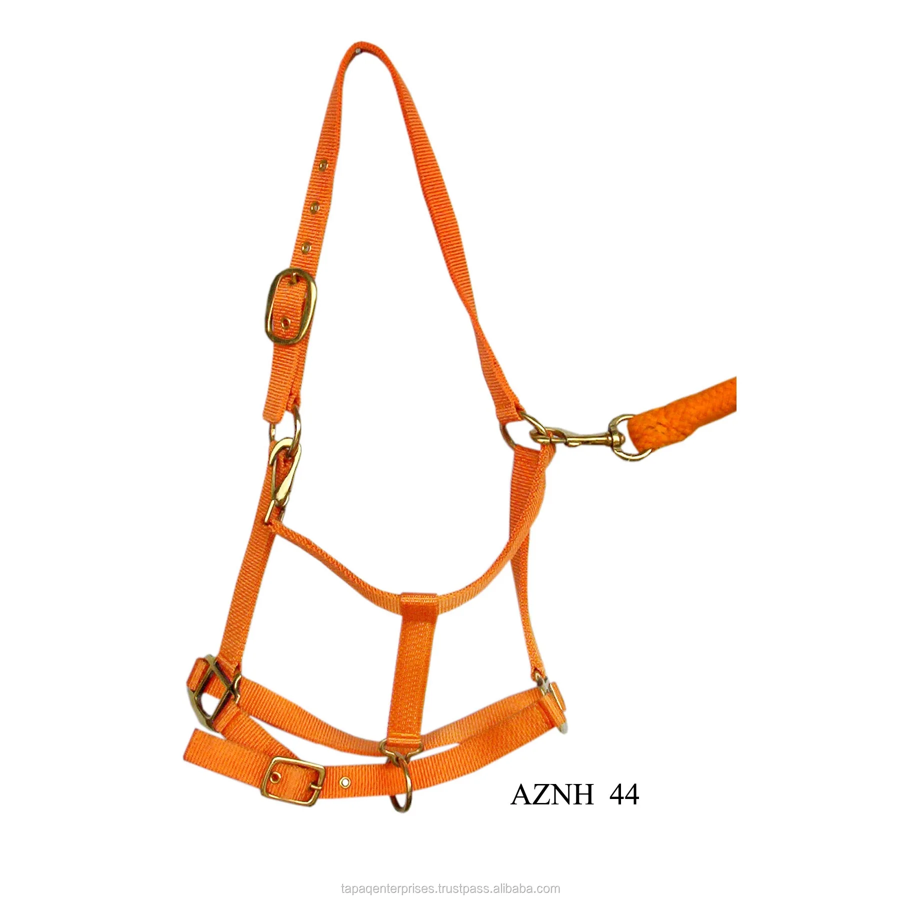 AZNH 44.jpg
