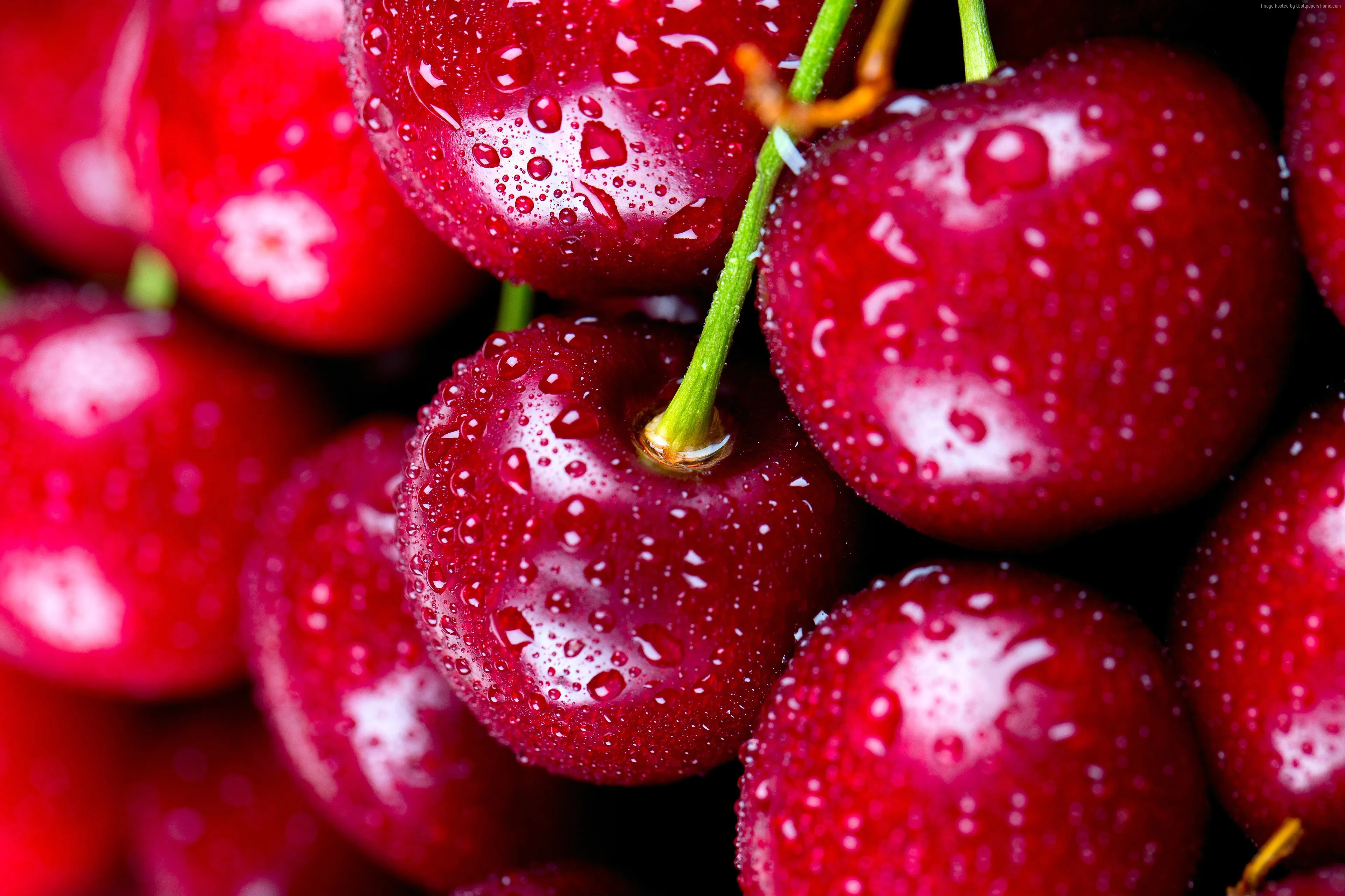 fresh and sweet delicious cherries fruits at wholesale